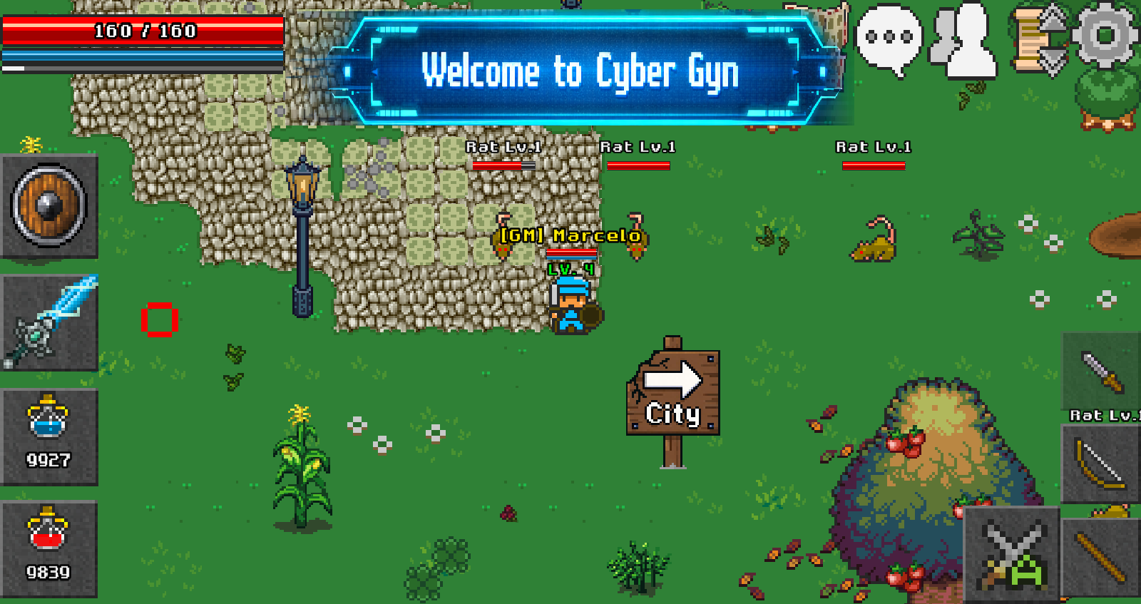 Welcome to Cyber Gyn